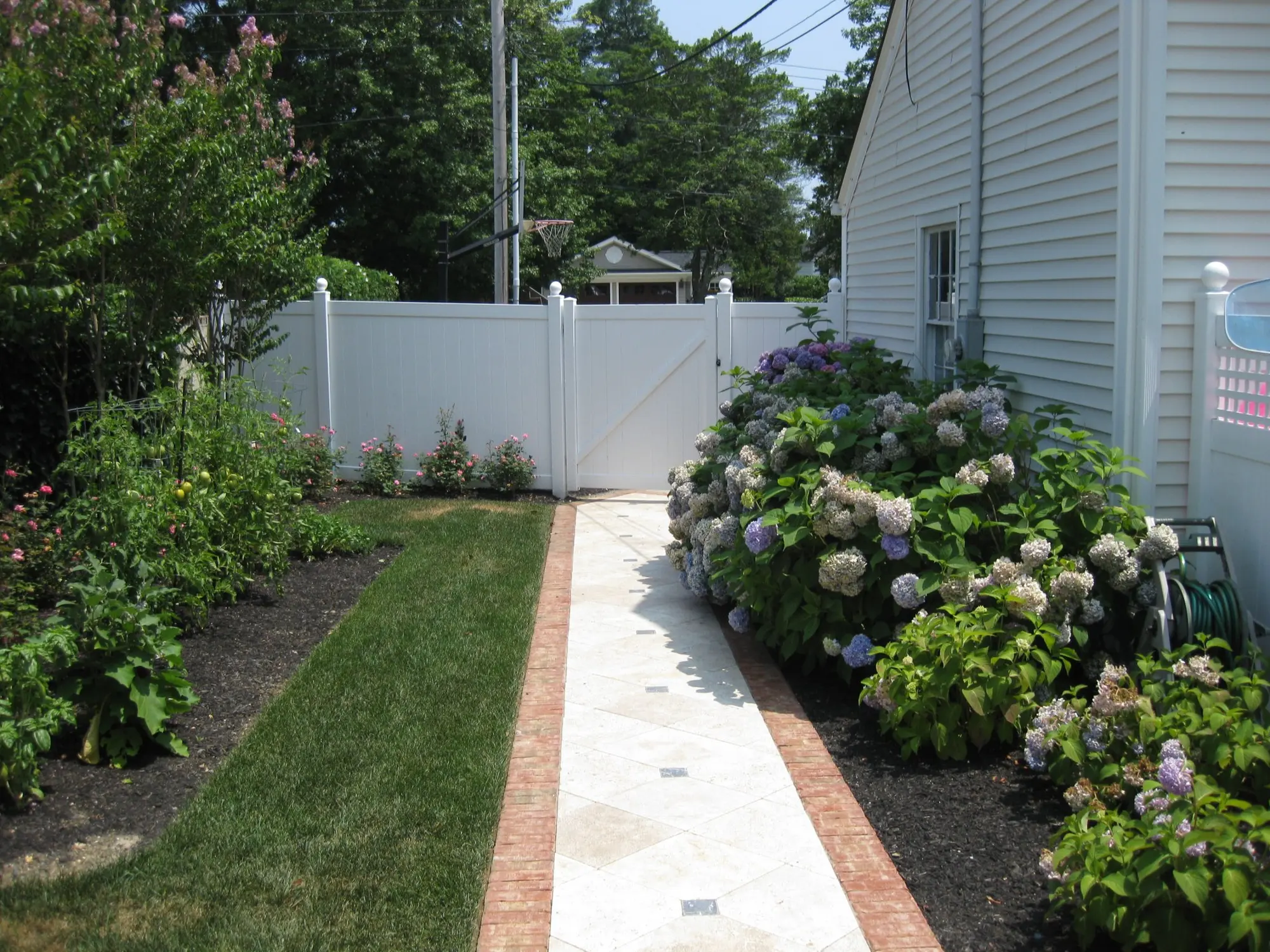 Formal garden walkway with lush hydrangea plantings